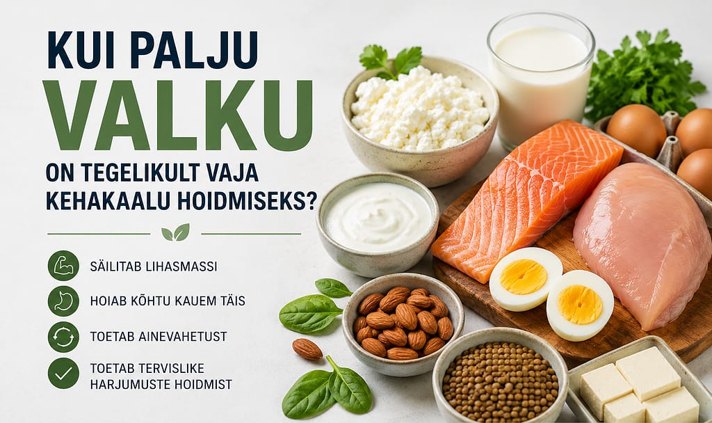 Uuri, kui palju valku vajad kehakaalu hoidmiseks, millised on parimad valguallikad ning kuidas jaotada valk päeva jooksul, et toetada lihasmassi.
